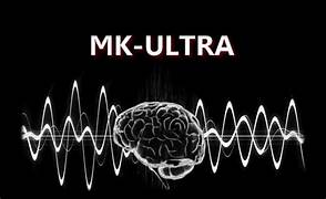 A brain with sound waves

Description automatically generated