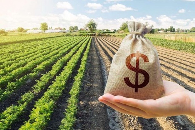 A hand holding a money bag in front of a plantation Description automatically generated