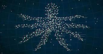 A map of a star

Description automatically generated