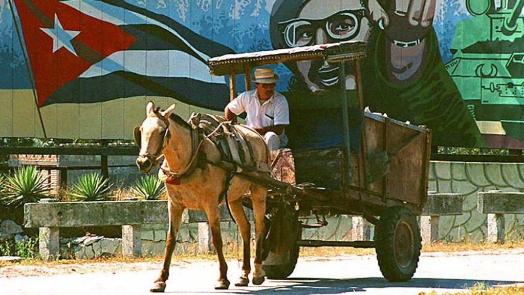 A person riding a horse carriage Description automatically generated
