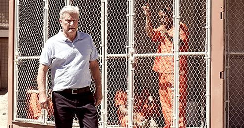 A person standing in front of a fence
Description automatically generated