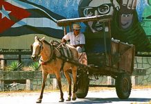 Workers Parliaments Saved Cuban Revolution After Collapse of the Soviet Union in the 1990s and Can Save it Again