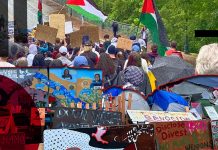 CovertAction Bulletin: As Rafah Invasion Looms, Students and Workers Boost Solidarity & Resistance