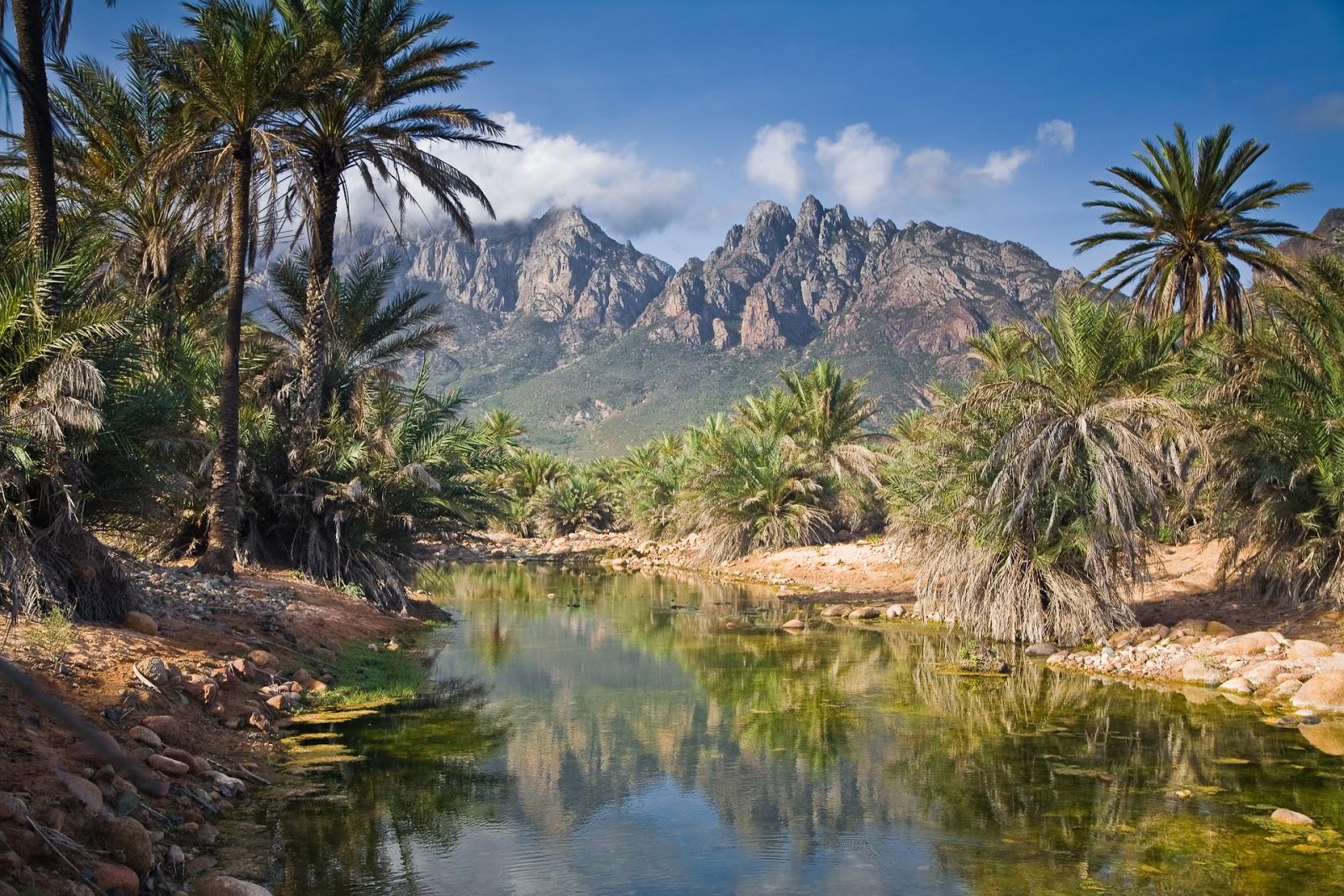 A river surrounded by palm trees

Description automatically generated
