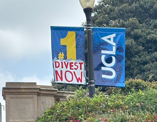 LAPD’s Failure to Protect Peaceful Protesters at UCLA from Right-Wing Mob Shows Real Priorities