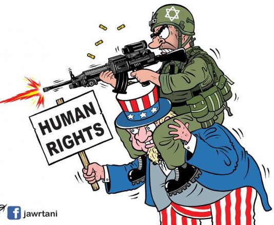 Intelligence Services Have Penetrated and Corrupted Human Rights NGOs, Says Former Senior Lawyer with the Office of the UN High Commissioner