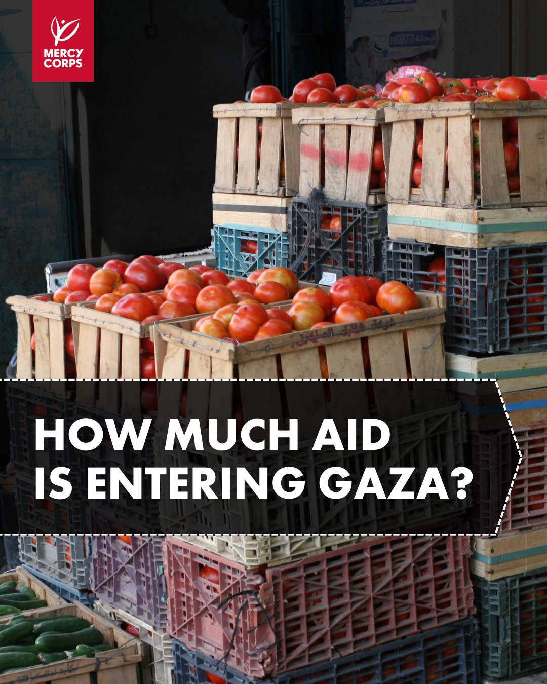 Mercy Corps on X: "🚨URGENT: A hunger catastrophe is unfolding in Gaza,  where the entire Strip is at risk of famine. At least 27 people, including  23 children, have already died from