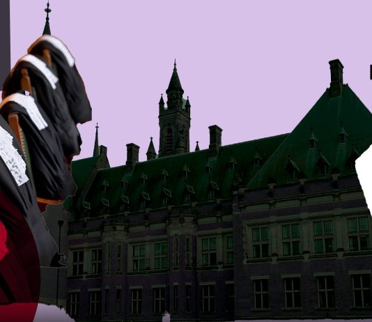 CovertAction Bulletin: ICJ Ruling Lays Out Case Against Israeli Occupation