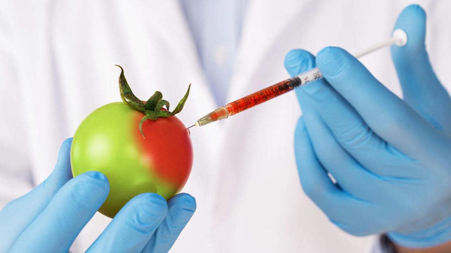 A person injecting a tomato

Description automatically generated