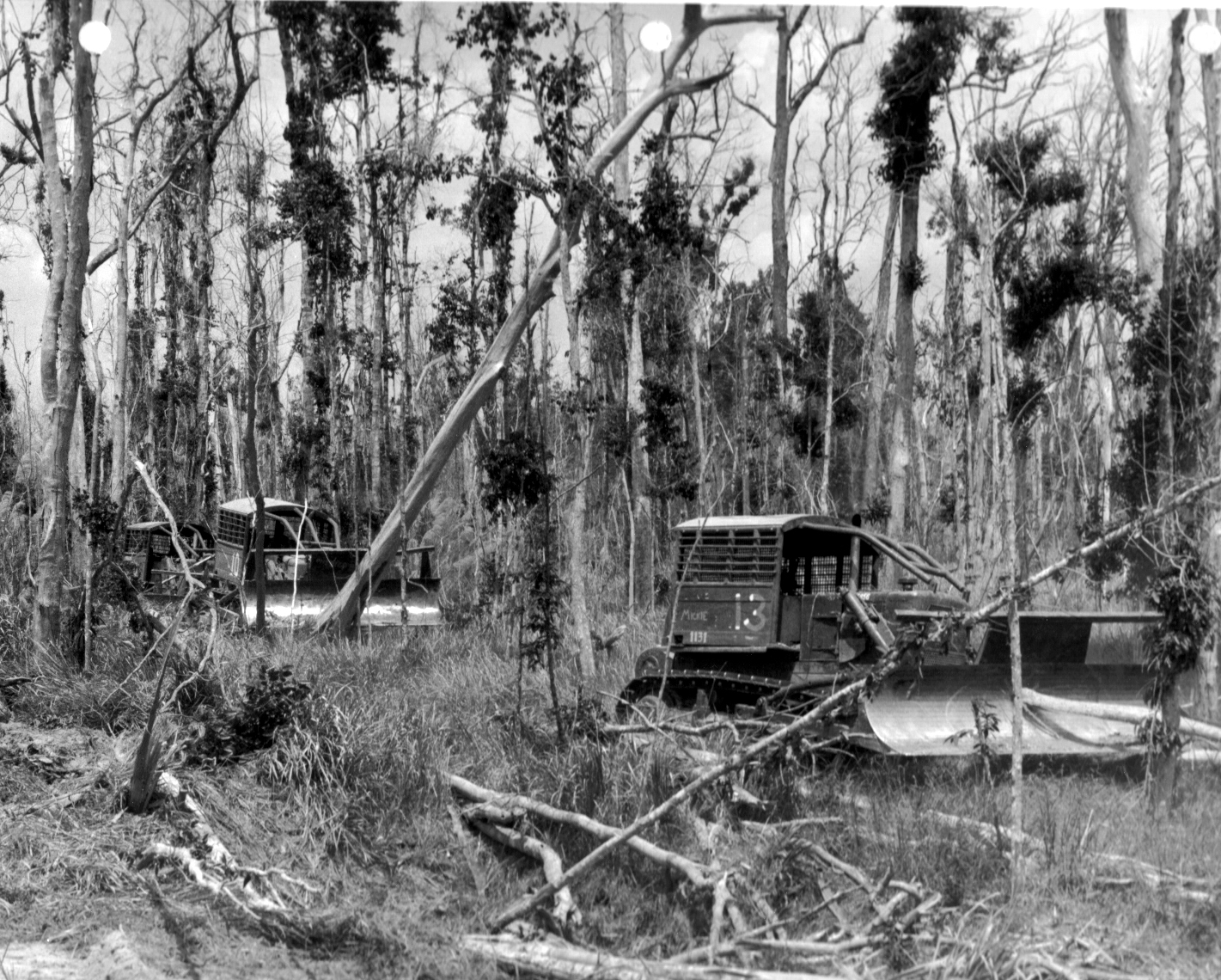 A tractor in the woods

Description automatically generated with medium confidence