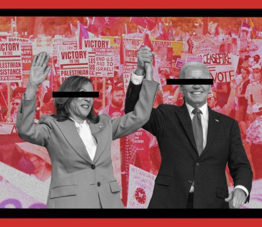 CovertAction Bulletin – Eyewitness DNC: Democracy in the Streets