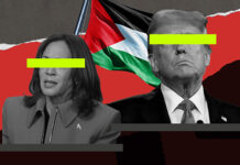 CovertAction Bulletin – Activists Take on Elections: No Votes for Genocide