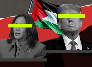 CovertAction Bulletin – Activists Take on Elections: No Votes for Genocide