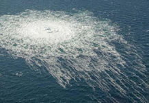 Scandinavians, the World’s Happiest People, Love Killing for the USA