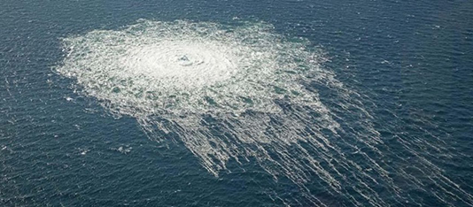 Scandinavians, the World’s Happiest People, Love Killing for the USA