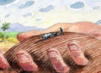 U.S. Corporate Land Grab in Ukraine Underlies War With Russia
