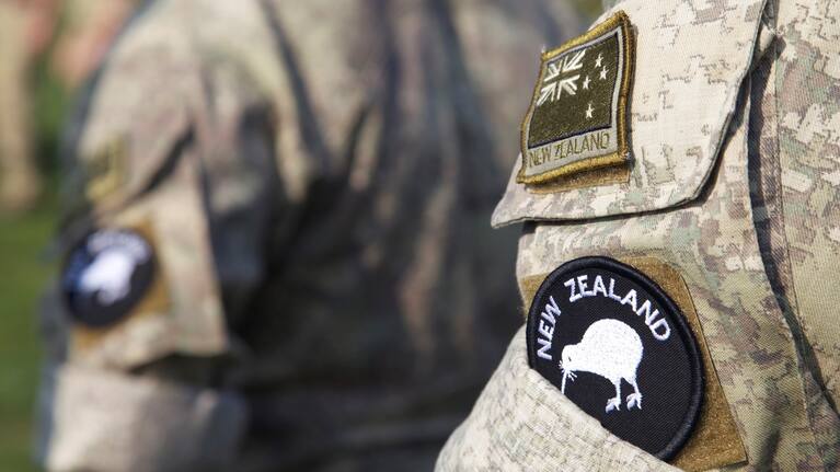 An infantry platoon of up to 35 of the additional personnel would join the UNC Security Battalion, which operated in the Demilitarised Zone - an area established between North and South Korea in the Korean War's armistice. 