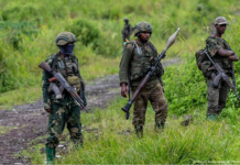 Rwanda Invades DRC on Behalf of Corporate Critical Minerals Supply Chains