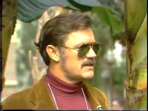 A person with a mustache wearing sunglasses
AI-generated content may be incorrect.