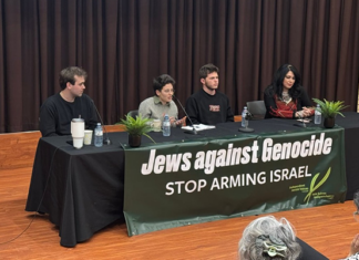 Israeli Conscientious Objectors Endure Jail and Social Ostracism For Principled Stand