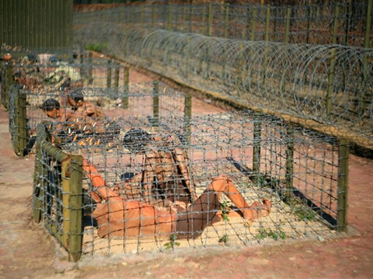 CIA Oversaw Hideous Torture in Con Son’s Tiger Cages and Other Prison Facilities in Vietnam