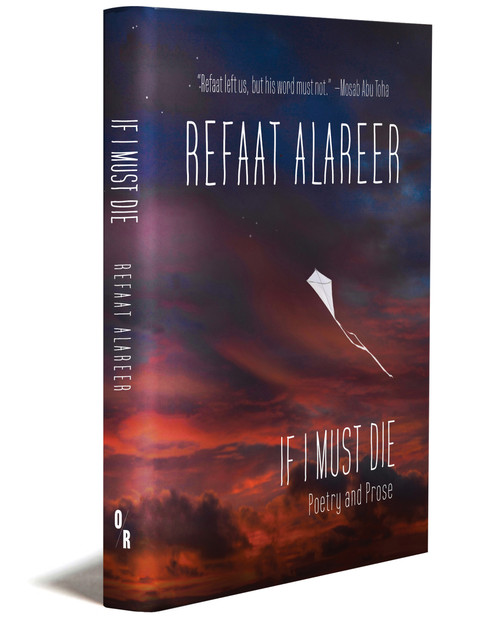 A book cover with a kite

Description automatically generated