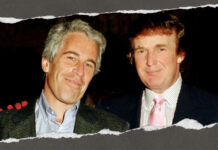 CovertAction Bulletin: Is Epstein the Final Straw for Trump’s Base?