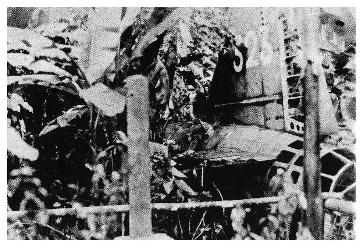 A close-up of a military vehicle

AI-generated content may be incorrect.