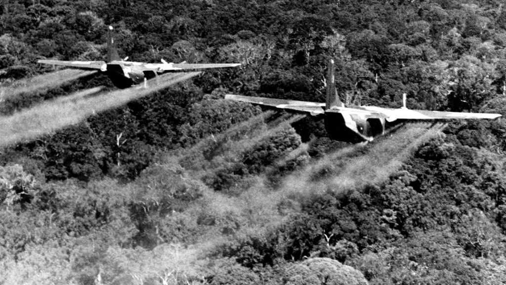 A pair of airplanes flying over a forest AI-generated content may be incorrect.