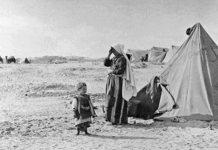 Palestinians Have Lived as Refugees For 80 Years: It is Time for a Durable Solution to End Their Suffering