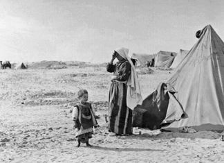 Palestinians Have Lived as Refugees For 80 Years: It is Time for a Durable Solution to End Their Suffering