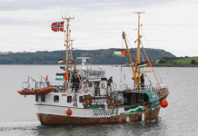 Gaza Flotilla Ship “Handala” Sails to Challenge Israeli Genocide of Palestinians in Gaza