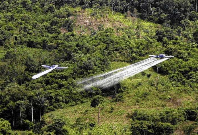 A few planes spraying trees AI-generated content may be incorrect.