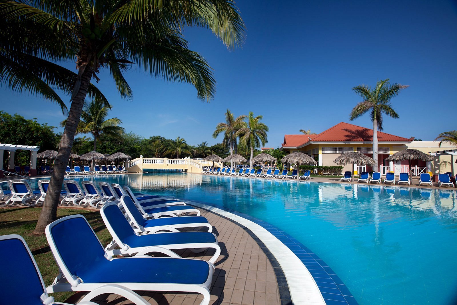 A pool with lounge chairs and palm trees
AI-generated content may be incorrect.