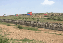 Ethiopia: Where Political Power Grows From the Barrel of a Gun