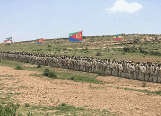 Ethiopia: Where Political Power Grows From the Barrel of a Gun