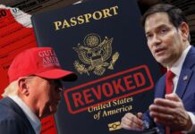 CovertAction Bulletin – Passport Revocations: Trump’s Repression and the New McCarthyism