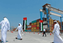 United Arab Emirates—A Cancer Spreading in Africa