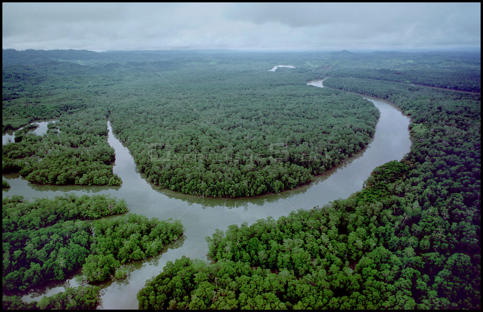 A river flowing through a forest
AI-generated content may be incorrect.