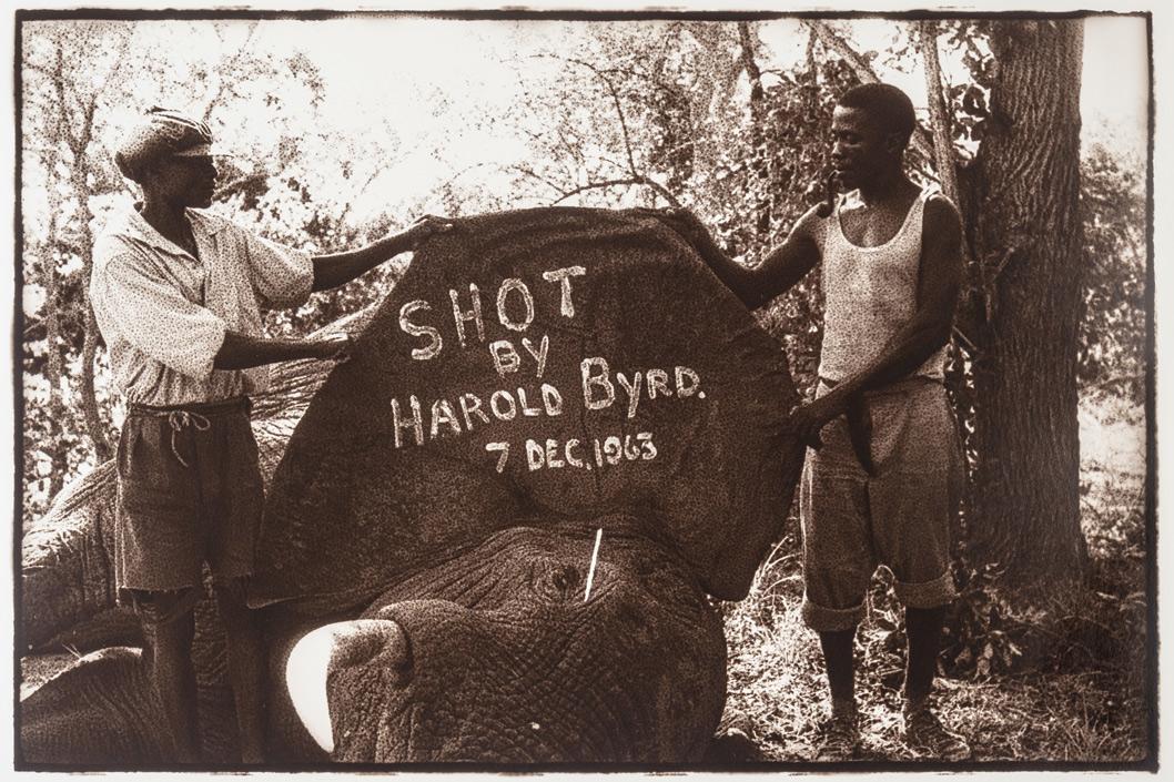 Men holding a sign with a elephant<br><br>AI-generated content may be incorrect.