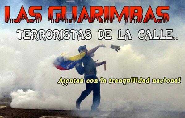 A person holding a flag and throwing a tear gas Description automatically generated