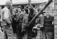 What Did Germans Know About the Holocaust? What Do We Know About the Gaza Genocide?