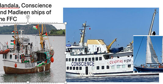 Gaza Freedom Flotilla Coalition Plans to Increase Gaza Sailings in 2026