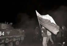 Lithuania’s False Flag Counter-Revolution