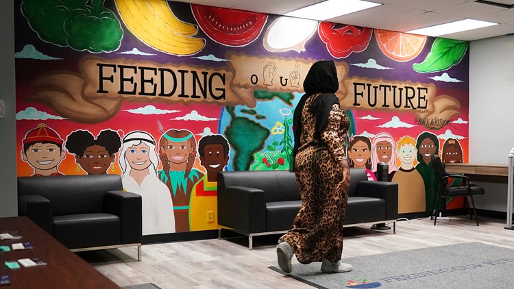 Judge denies request for Feeding Our Future to pay MDE | kare11.com