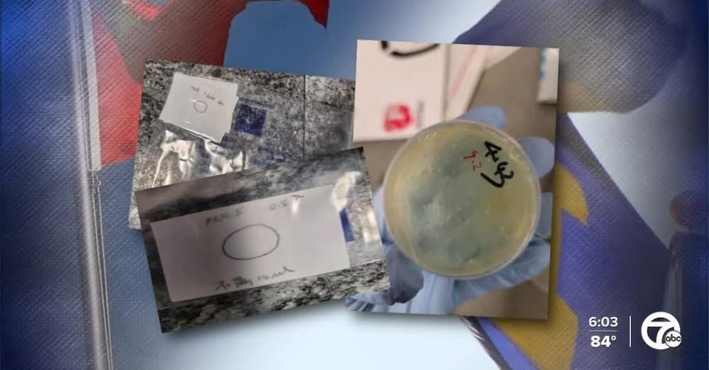 Lawyers say plea deal is being pursued for Chinese scientist charged in US toxic fungus case