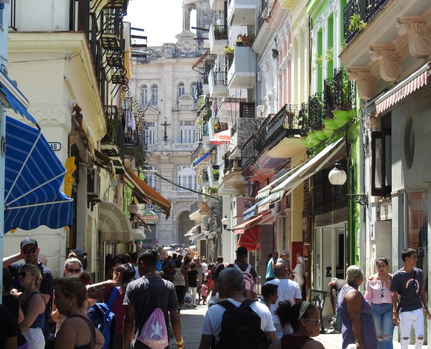 Cuba's Private Sector