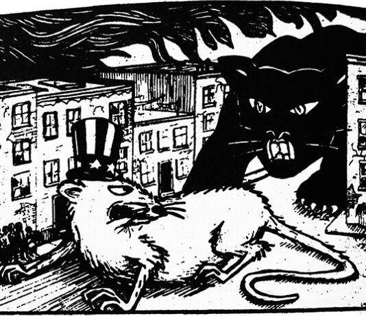 Did the FBI use the Weather Underground to Undermine Black Panthers and the New Left?