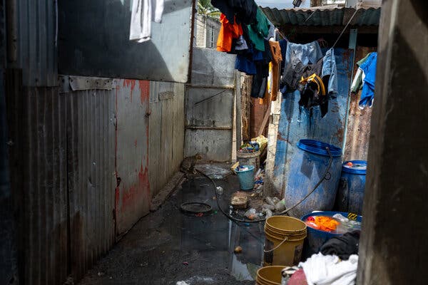 A narrow alleyway between corrugated metal structures. A tabby cat stands in a dirty puddle on the ground, with colorful laundry hanging overhead.