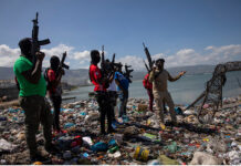 Lost in Translation: Understanding the Counterrevolution in Haiti